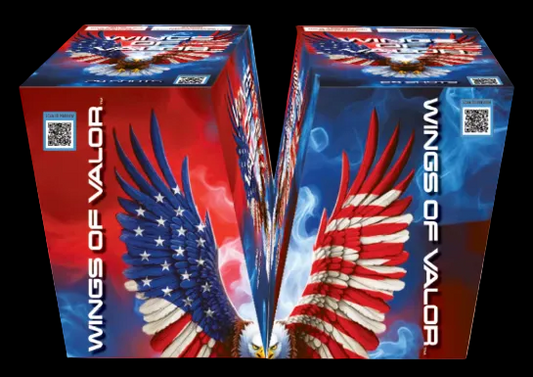 Wings of Valor